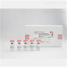 赖氨酰肽链内切酶