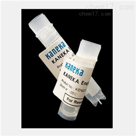 KANEKA核酸内切酶